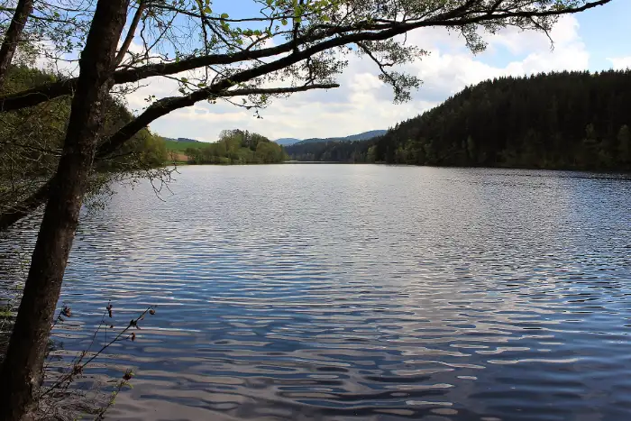Der Blaibacher See, gerahmt von &uuml;berh&auml;ngendem Ufergeh&ouml;lz