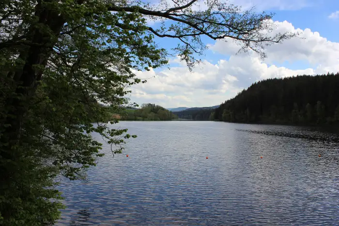 Blick &uuml;ber den Blaibacher See im Naturpark Oberer Bayerischer Wald