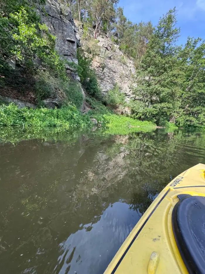 Felsen am Ufer des Schwarzen Regen